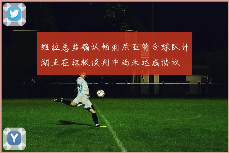 维拉总监确认帕利尼亚符合球队计划正在积极谈判中尚未达成协议