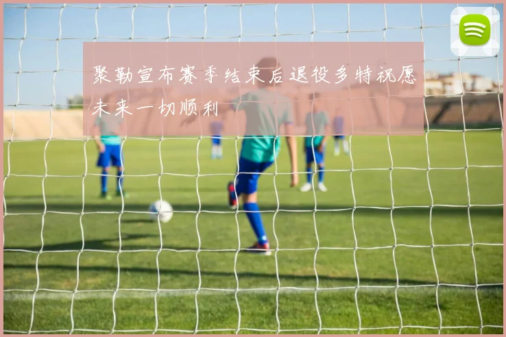 聚勒宣布赛季结束后退役多特祝愿未来一切顺利